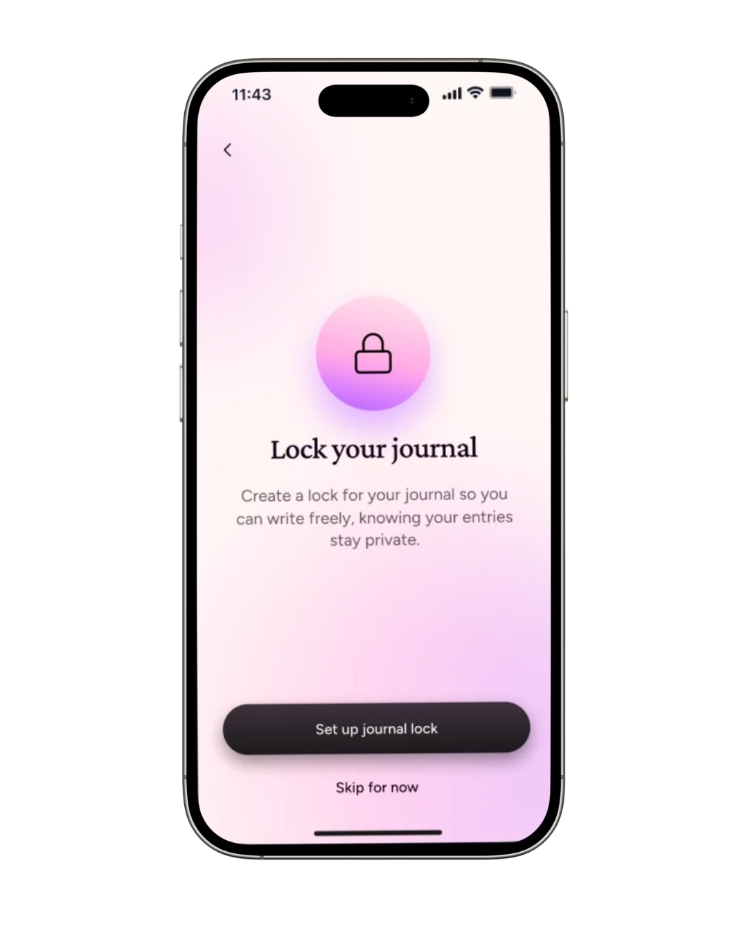 everkind private journal lock screen on an iPhone